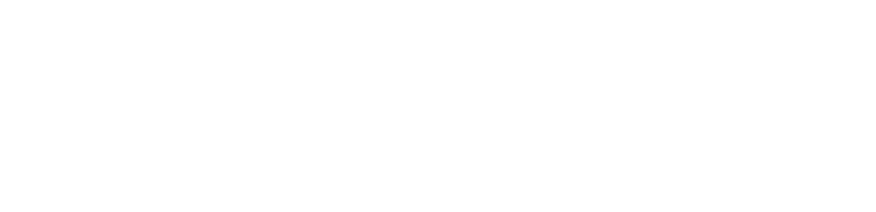 Micro Focus Partner